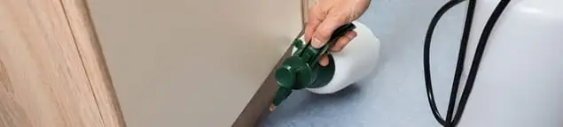 Bed bug exterminator treating baseboards and cracks with targeted spray in Erie, PA