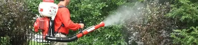 Mosquito control technician fogging shrubs and landscaping for mosquito treatment in Erie, PA