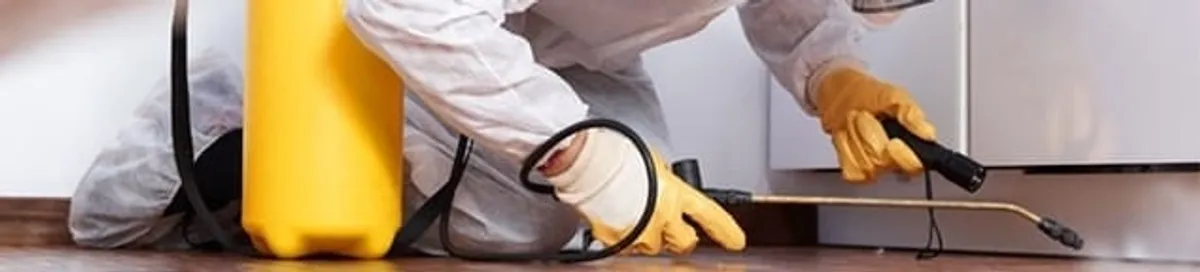 Roach exterminator treating cracks and crevices along kitchen baseboards in Erie, PA