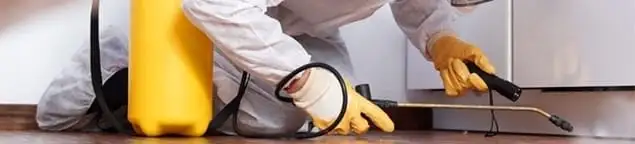 Roach exterminator treating cracks and crevices along kitchen baseboards in Erie, PA