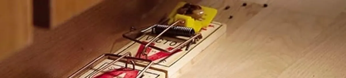 Rodent trap set indoors for rodent control and prevention in Erie, PA